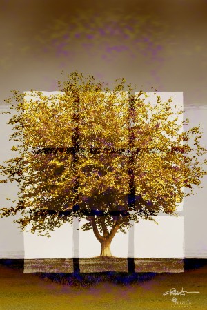 Window2 on an Amber Tree 2x3